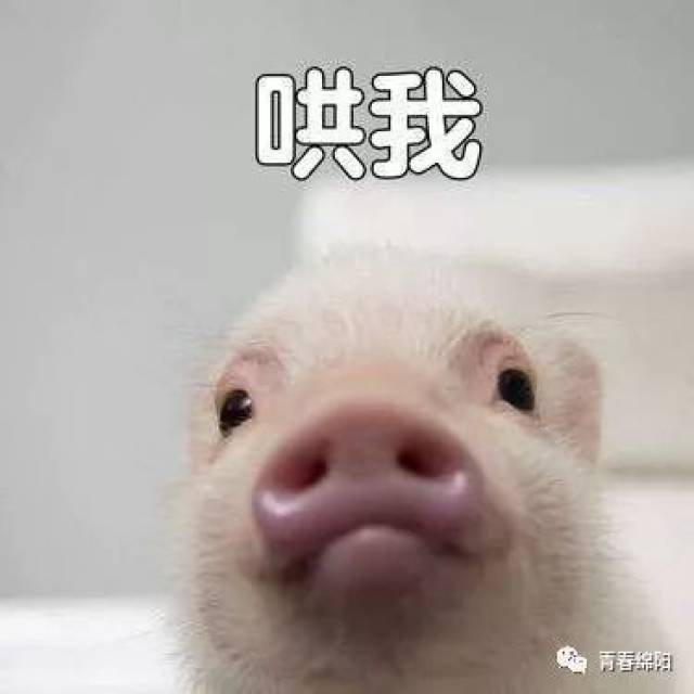 bbeb7cab1bdb4c93867d85209c249552.jpeg