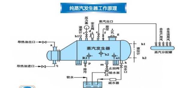 纯蒸汽发生器工作原理