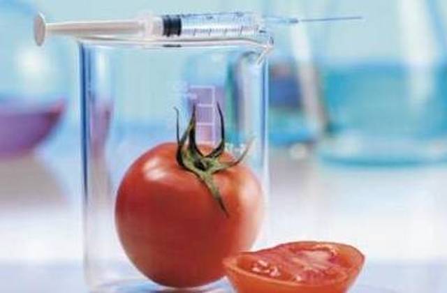 每日一专业之食品科学与工程