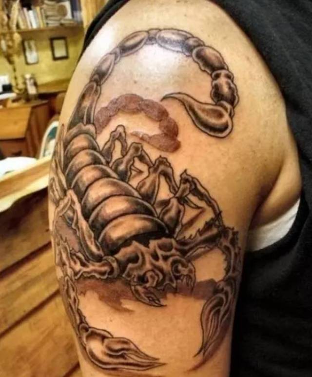 纹身图案:蝎子~凶狠不屈的象征,蝎子纹身分享
