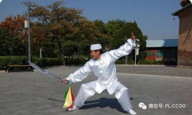 后拜李天骥,王青山大师为师习练太极,形意,并得于师兄陈照奎,马颖达