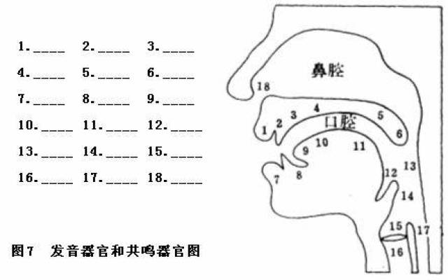 48122ce8f3054f558c9be21c0c6e0203.jpeg