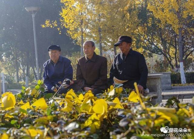 最美的风景 是公园里长凳上晒太阳的老人 他们脸上的笑容 洋溢的是