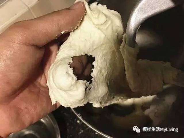 下图就是断筋的面团.(图片来自网络) 02 手套膜的作用是?