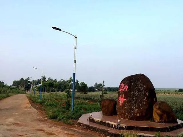 这里是雷州市新农村:龙门镇朝升村