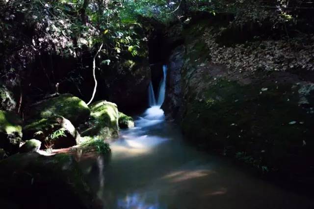 武夷山最美漫游道岩骨花香一日游