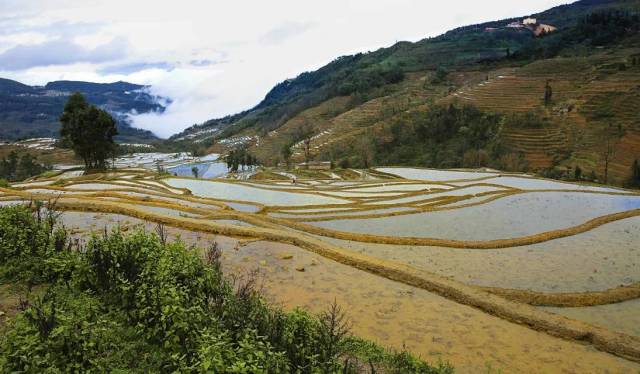 梦境元阳梯田(云雾黄草岭(大美云南15)