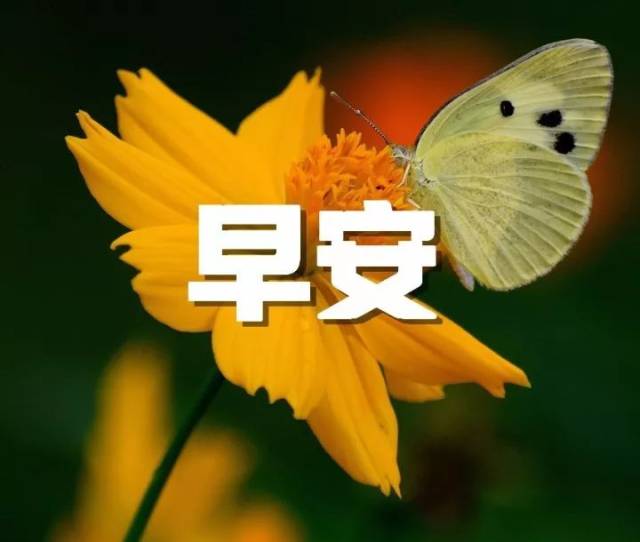 ˵Ļ 簲䱣ն̾