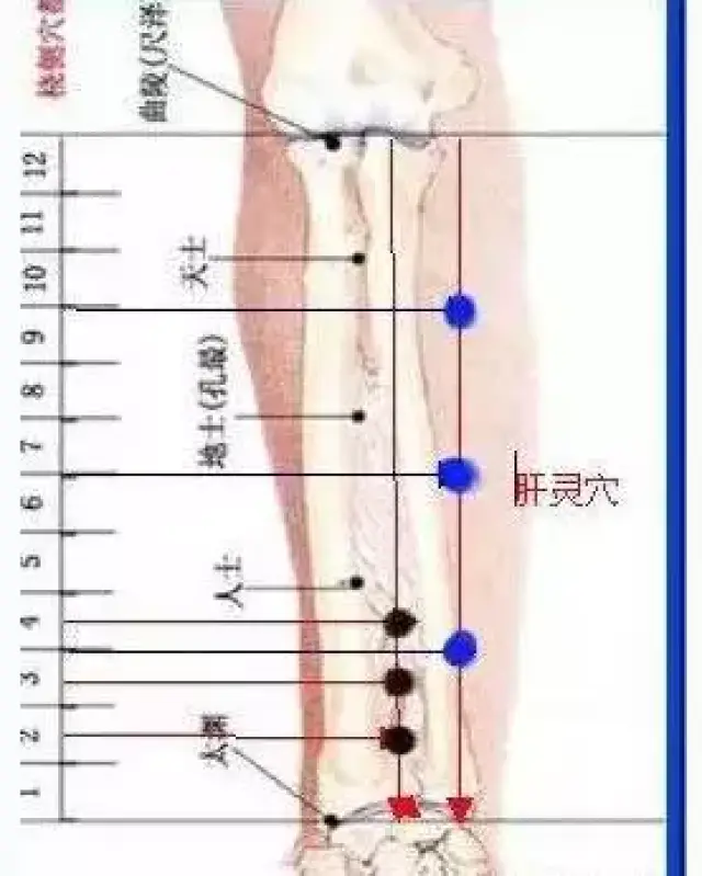 c87f4c5a10954bf58ff131c25ac0ab63.jpg