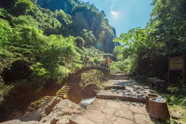 武夷山最美漫游道岩骨花香一日游