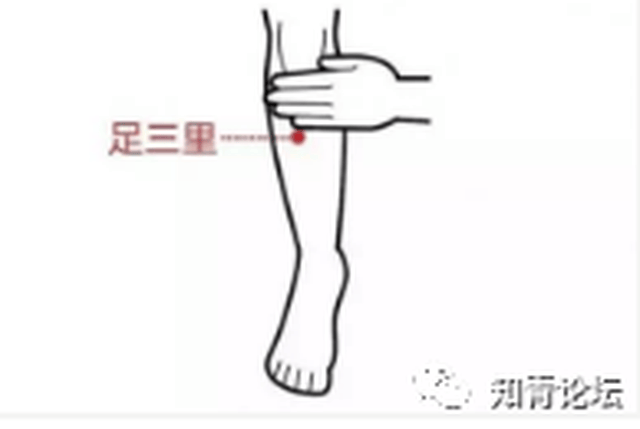 足三里穴