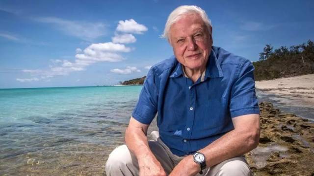 BBC《蓝色星球 II》配乐首度公开