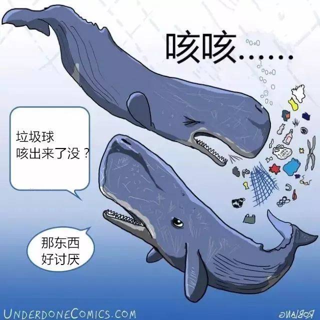 这张刷屏的蓝色海报背后,是关于海洋的残酷真相!