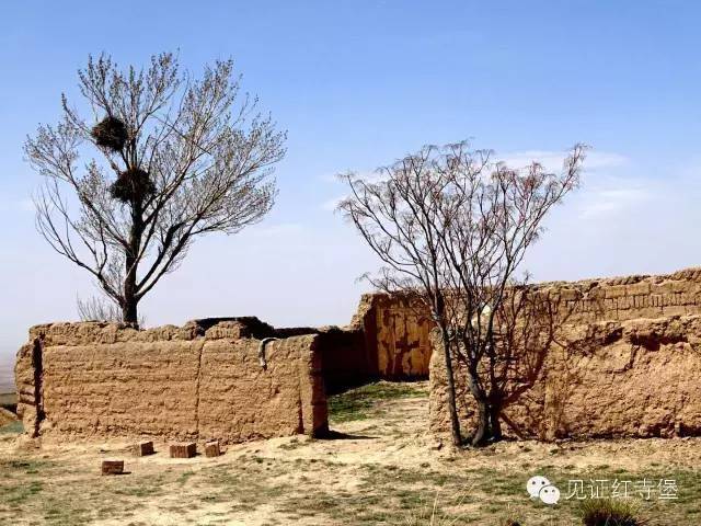 秘密红寺堡的旅游景区你知道吗