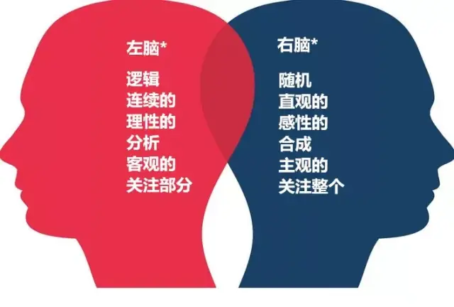 科学·家来啦|你是左脑人还是右脑人?