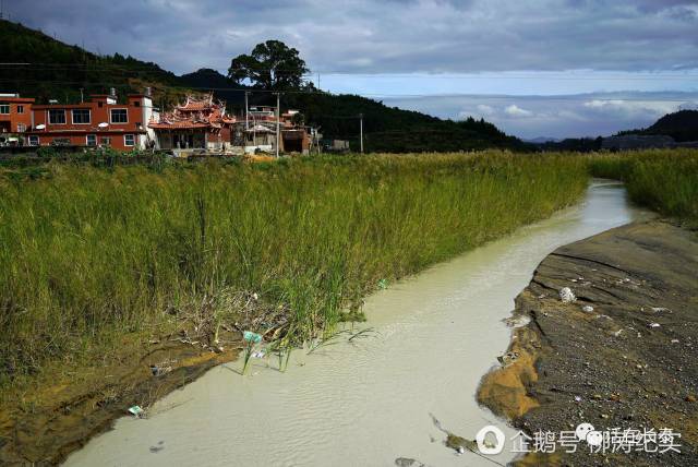 长泰:吴田山年底前将其彻底关闭,力争2年内复垦还绿