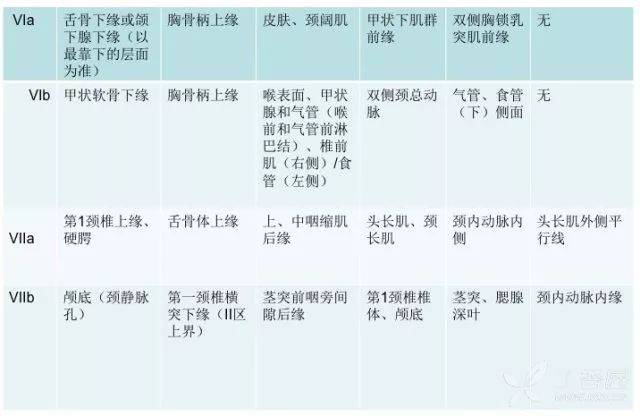 va 上颈后三角淋巴组;vb 下颈后三角淋巴组;vc 锁骨上外侧组 vi 颈前