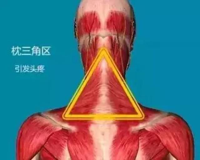 ָ°׵͵ڶ׵.