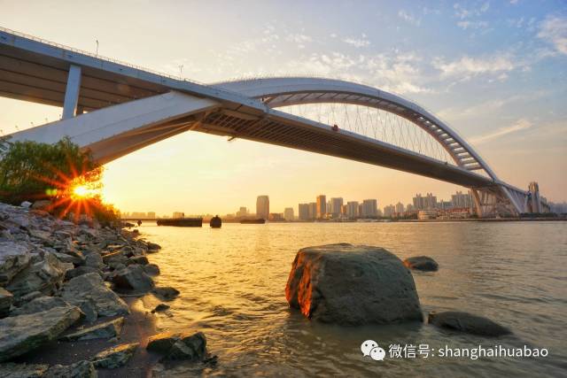 画说上海 | 海市蜃楼