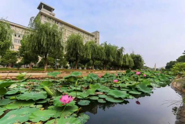 武汉东湖学院——坐落在汤逊湖畔的最美大学