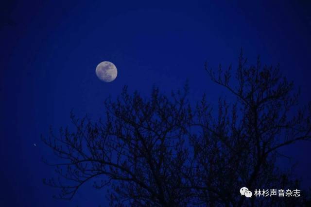 名家领读李默然秋夜