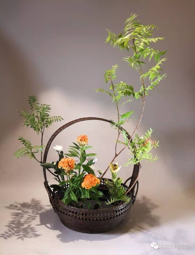 花堂| 中国插花-人文花道