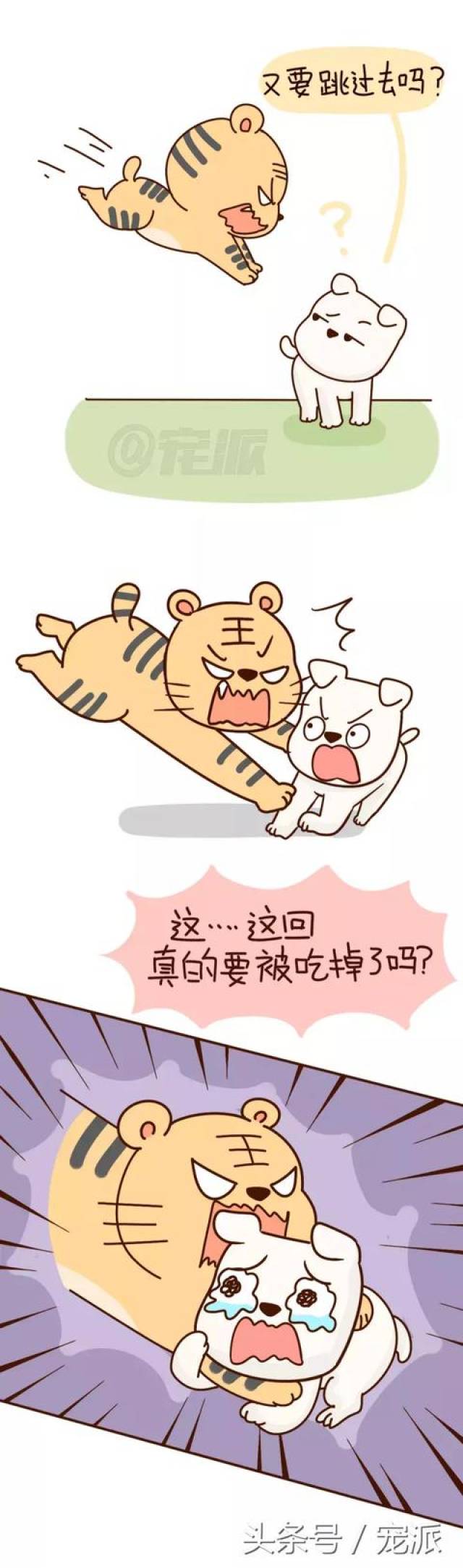 漫画丨老虎两次扑倒在狗身上,结局亮了!