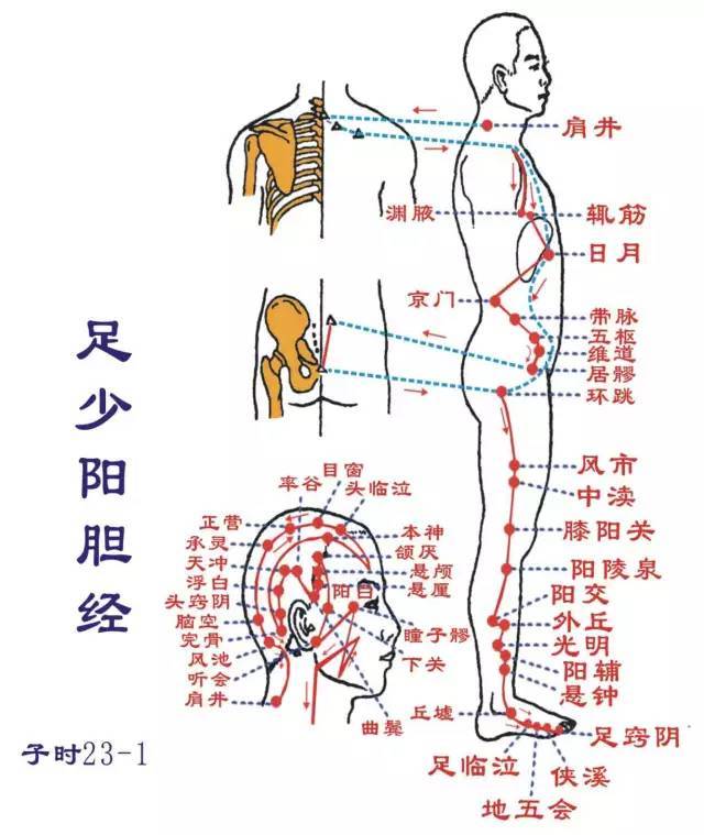 本穴位:关冲,液门,中渚,阳池,外关,支沟,会宗,三阳,络,四渎