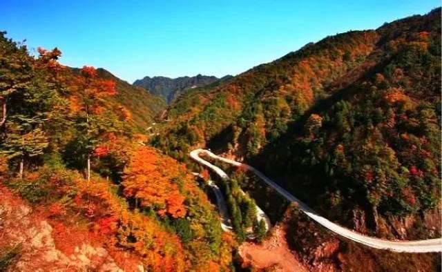 【自驾游超级福利】3天游丨米仓山——上帝遗落在人间的调色板