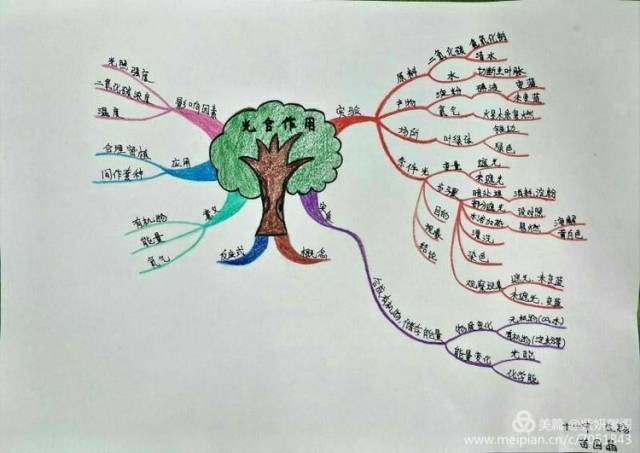 "思维导图种子教师选拔赛"德州十一中参赛听课,作品精彩纷呈