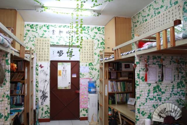 现在只能放网图