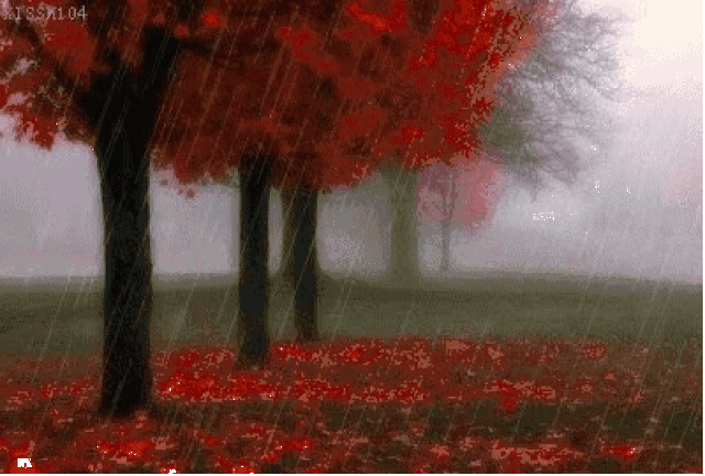 【诗情画意】一叶知秋,你可知我意