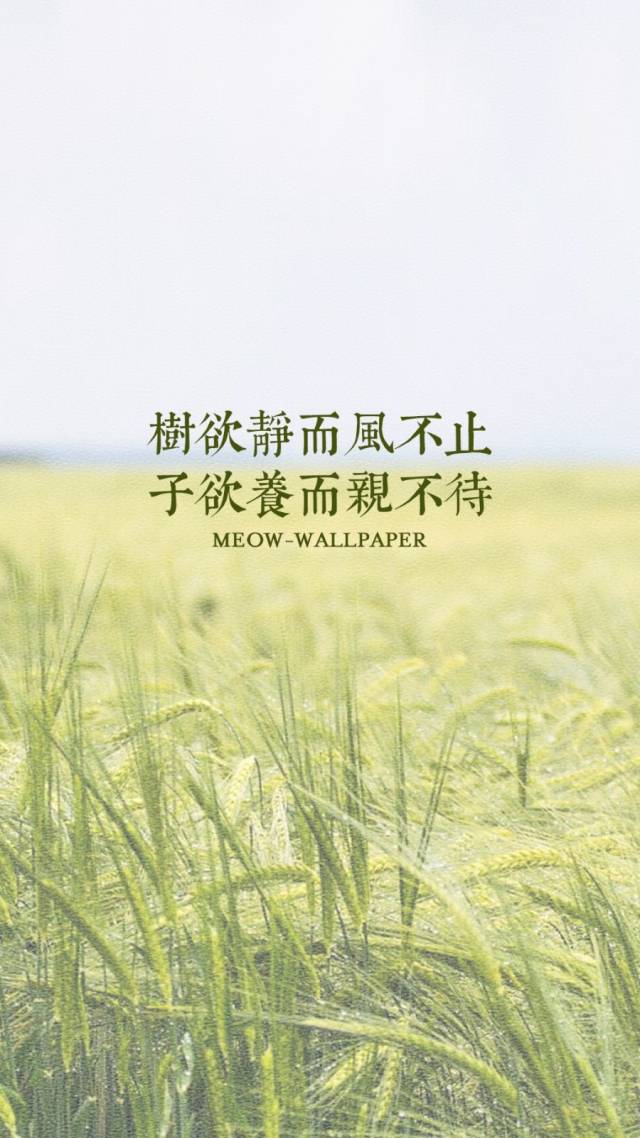 壁纸|| 没有人能让我输,除非我不想赢.
