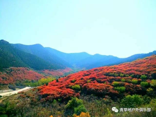 【1日游】本周二,周四,周六,周日,官护山赏花 赏红叶 柿子沟~休闲一日