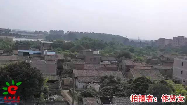 【我的村,我来拍】2015的花东镇象山村