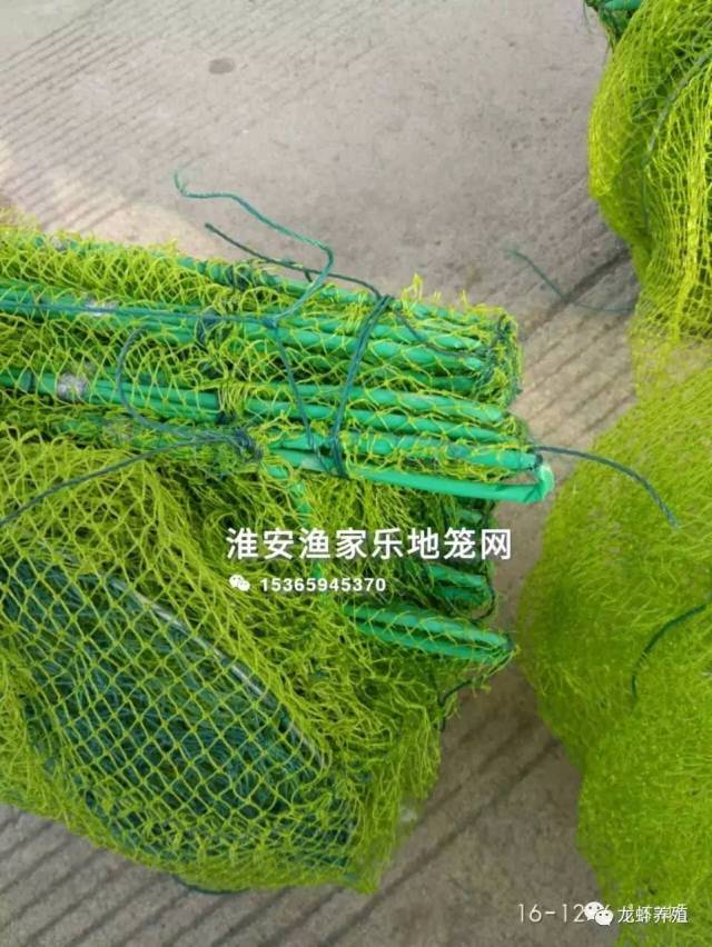 非常实用的捕小龙虾地笼网