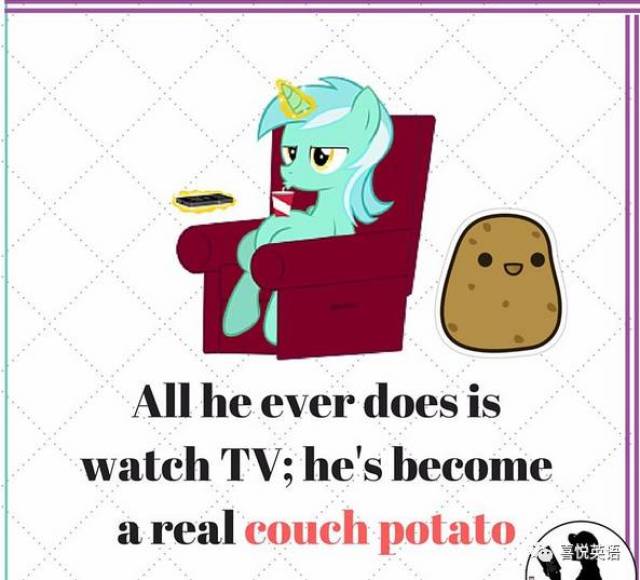 couch potato 电视迷,懒惰的人