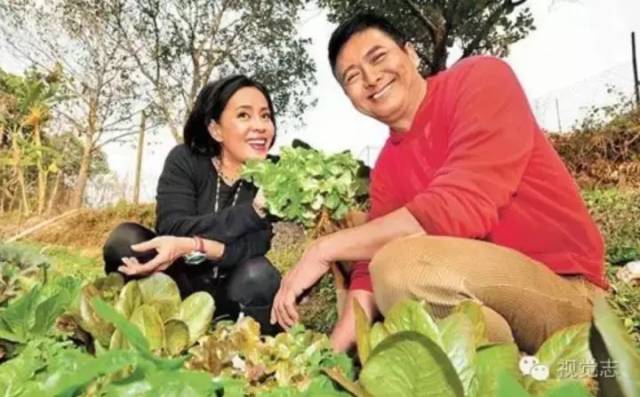 周润发结婚30年无子,直到妻子哭着说出真相,才