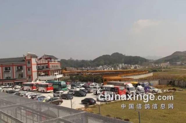 贵州红枫公棚小棚 搜狐网