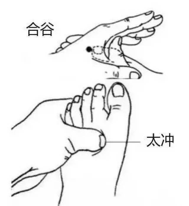 「四关四穴,即两合谷,两太冲穴是也. 」——《针灸大成》