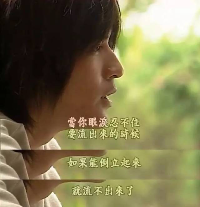 流星花园中国版封面 279a8797acec48ac9b42103fb4a6d5a2.jpeg
