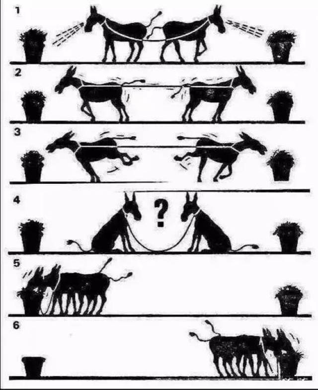 合作  