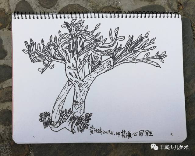 儿童线描写生,没有画不好的,只有不认真的!