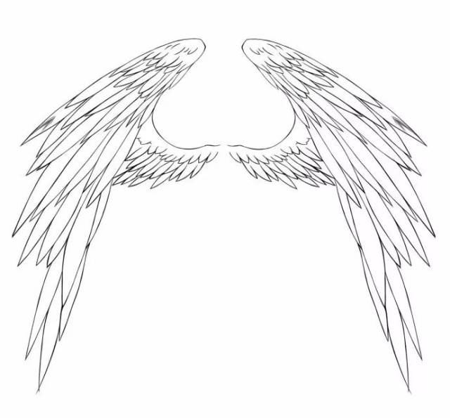 板绘·技巧|大天使的翅膀画法