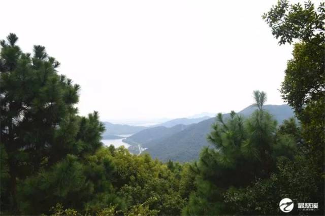 慈溪市人口有多少人口_慈溪市有荷兰风车的山