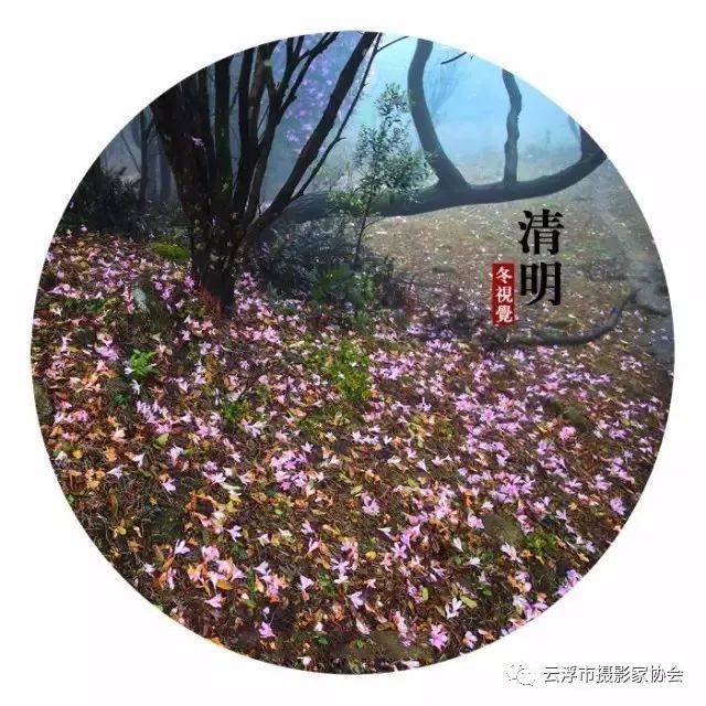 陪你走过春夏秋冬,看属于我们的风景——罗定二十四节气摄影