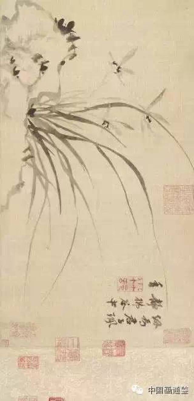历代名家画兰花,工笔画,古画(第9页)_大山谷图库