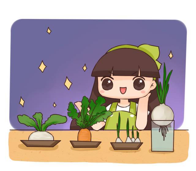 水培洋葱