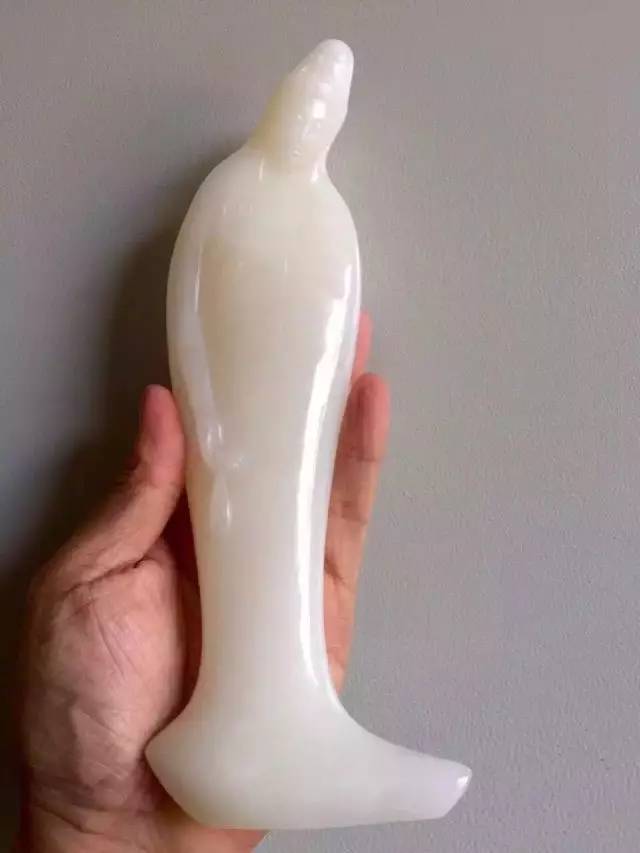 砗磲百科大全,你不知道的这里都有,太实用了