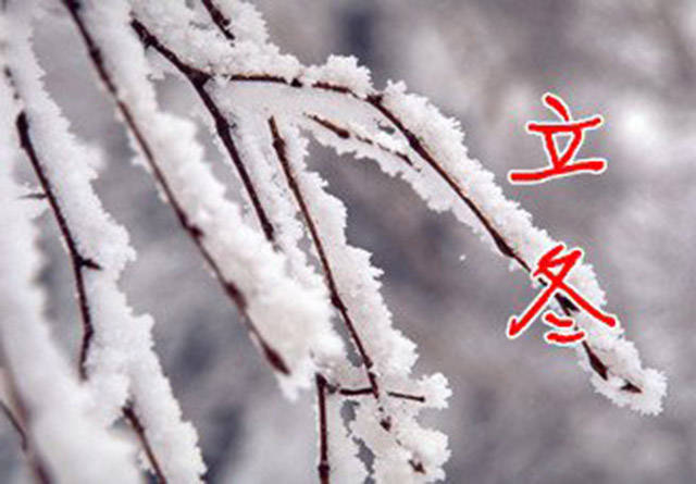 【立冬】最美的时光在冬季